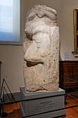 Awakening Slave, an unfinished statue by Michelangelo in the Accademia Gallery in Florence, Italy.