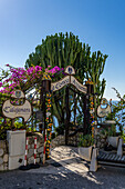 Ornamental succulents at a restaurant entrance in Conca dei Marini on the Amalfi Coast of Italy.