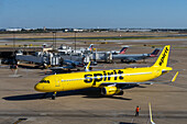 A Spirit Airlines passenger jet taxis toward its gate at Dallas Fort Worth International Airport. Dallas, Texas. An airport marshall directs the pilot. The satellite hub of Terminal E is behind.