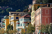 Colorful buildings in the Fegina or new town area of Monterosso al Mare, Cinque Terre, Italy.