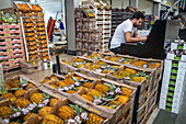 Fruit and Vegetable section, in Mercabarna. Barcelona´s Central Markets. Barcelona. Spain