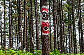 Oma Forest is a work of art by Agustin Ibarrola, a Basque sculptor and painter, in the natural reserve of Urdaibai, Oma, Vizcaya, Basque country Euskadi, Spain