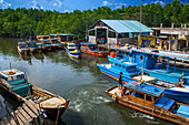 Houses and boats in Sebung River, Bintan island, Riau islands, Indonesia.