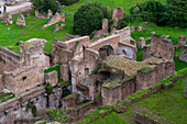 Ruins of a building in the Roman Forum in the Colosseum Archaeological Park in Rome, Italy.