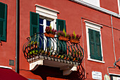 Balcony with colorful potted plants on the Restaurante Roma on the Piazza Fabrizio de Andre, Carrara, Italy.