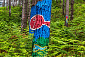 Oma Forest is a work of art by Agustin Ibarrola, a Basque sculptor and painter, in the natural reserve of Urdaibai, Oma, Vizcaya, Basque country Euskadi, Spain