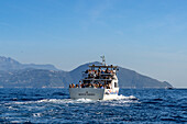 Ein Ausflugsboot voller Passagiere bei der Umrundung der Insel Capri, Italien.