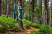 Oma Forest is a work of art by Agustin Ibarrola, a Basque sculptor and painter, in the natural reserve of Urdaibai, Oma, Vizcaya, Basque country Euskadi, Spain