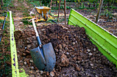 Regenerative agriculture fields in San Pol de Mar, Ferrer Sustainability Foundation, Barcelona, Spain, Europe. The Ferrer Sustainability Foundation is a non-profit organisation that aims to transform lives and work towards a more equitable and fair society through social cohesion and environmental preservation. We carry out our work through two major projects: Ferrer for Food and Green for Good, through which we seek to generate the greatest impact for the benefit of people and the planet.