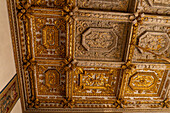 The ornate carved & gilded ceiling of the Charles VIII Salon in the Palazzo Medici Riccardi, Florence, Italy.