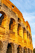 The ancient Roman Colosseum or Flavian Amphitheater with golden sunset light in Rome, Italy.