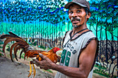 Local people with a game-cook fighting cook in Sipaway Island, San Carlos City, Negros Occidental, Philippines