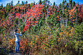 Norris Point mountains in autumn, Bonne Bay and Woody Point seen from the view point at the Jenniex House in Gros Morne National Park, Newfoundland & Labrador, Canada