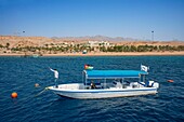 Tourists aboard a dive boat, cool off in the waters of the Gulf of Aqaba in Jordan. Aqaba has excellent diving and snorkeling reefs.