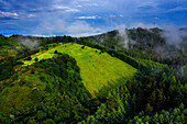 Aerial view green forest pines in Urkiola natural park Urkiolagirre meadows, Bizkaia, Euskadi, Basque Country Spain