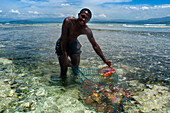 Fishermen in Cayes-à-L’eau, a fishermen islet located northeast of Caye Grand Gosie, Île-à-Vache, Sud Province, Haiti