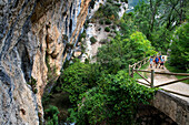 Desfiladero del rio Purón, Puron River Canyon in the Valderejo Natural Park. Alava. Basque Country. Spain