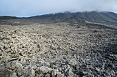 Pacaya Volcano, Guatemala