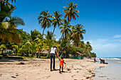 Palm trees in the plage de Ti Mouillage beach in Cayes-de-Jacmel, Cayes de Jacmel, Jacmel, Haiti.