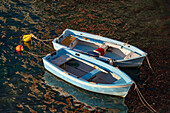 Two small rowboats moored in the harbor in Riomaggiore, Cinque Terre, Italy.