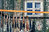 Dried fish on a balcony in Tasiilaq, also known as Ammassalik, East Greenland, Greenland