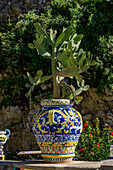 A prickly pear cactus in a large, colorful ceramic pot at a ceramic shop on the Amalfi Coast of Italy.