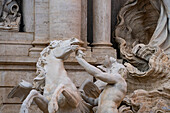 Detail of a hippocamp and a trition in the Trevi Fountain in the Piazza di Trevi in Rome, Italy.