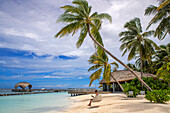 Swing on the beach of the Outrigger maldives Maafushivaru luxury resort, South Ari Atoll region Maldives