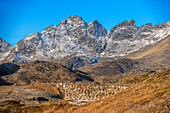 Cemetery outside town of Tasiilaq, also known as Ammassalik, East Greenland, Greenland