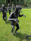 The Skeleton Men from the Omo Bugamo tribe of Papua New Guinea paint their bodies with black and white paint emulating the human skeleton, Chimbu Province, Papua New Guinea