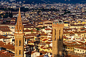 View of the towers of the Badia Fiorentina & Palazzo del Bargello seen from the Palazzo Vecchio tower in Florence, Italy.