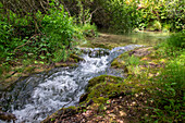 Desfiladero del rio Purón, Puron River Canyon in the Valderejo Natural Park. Alava. Basque Country. Spain