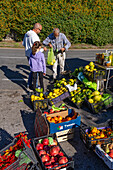 A roadside vendor weighs lemons with a balance scale by the Amalfi Coast road near Positano, Italy.