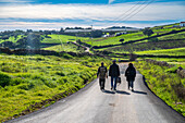 People walking a scenic rural road with a green landscape in Alosno, Spain