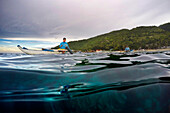 Local people feeding the Whale Sharks Rhincodon Typus at Oslob Cebu, Central Visayas, Philippines.