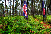 Oma Forest is a work of art by Agustin Ibarrola, a Basque sculptor and painter, in the natural reserve of Urdaibai, Oma, Vizcaya, Basque country Euskadi, Spain