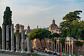 Domes of Churches of Santa Luca and Martina Martiri & Santissimo Nome of Maria al Foro. Rome, Italy. The statue of St. Peter on the top of Trajan's Column is also visible above a stone pine tree. In the foreground are Roman columns.