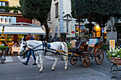 A horse-drawn carriage for giving tourists rides on the Piazza Tasso in the historic center of Sorrento, Italy.