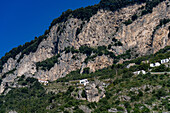 Weinberge an den steilen Hängen unterhalb der Klippen über Praiano an der Amalfiküste, Italien.