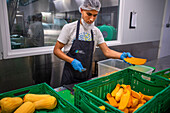 Kitchens for preparing pre-cooked food to distribute among the poorest, Vilassar de Dalt, Ferrer Sustainability Foundation, Barcelona, Spain, Europe. The Ferrer Sustainability Foundation is a non-profit organisation that aims to transform lives and work towards a more equitable and fair society through social cohesion and environmental preservation. We carry out our work through two major projects: Ferrer for Food and Green for Good, through which we seek to generate the greatest impact for the benefit of people and the planet.