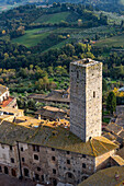 Torre dei Becci overlooks the Piazza della Cisterna in the medieval walled city of San Gimignano, Italy. The top of the tower is covered with a flock of Hooded Crows, Corvus cornix.