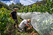 Can Calopa l´olivera fundation, Collserola, Barcelona, Spain, Europe. L’Olivera fundation carries out its activity with the aim of promoting the personal and social integration of people with disabilities, developing care, therapeutic and educational tools in a living and working space that is intended to be inclusive.