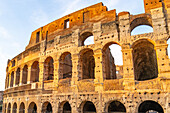 The ancient Roman Colosseum or Flavian Amphitheater with golden sunset light in Rome, Italy.