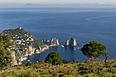 The Farallon Islands or faraglioni, sea stacks off the coast of the island of Capri, Italy, viewed from Monte Solaro.