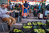 Catalonian local farmers wholesale sale section in Mercabarna Fruit and Vegetable section, in Mercabarna. Barcelona´s Central Markets. Barcelona. Spain