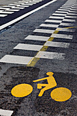 Frankreich, Paris, 75, 5. Arrondissement, Boulevard de l'Hopital, Bodenmarkierungen auf einem Radweg und einer Busspur, Januar 2024.