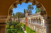 Alcazar Gardens, Alcazar of Seville, UNESCO, Seville, Andalusia, Spain