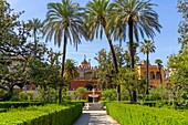 Alcazar Gardens, Alcazar of Seville, UNESCO, Seville, Andalusia, Spain