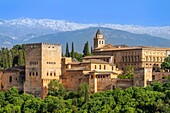 View from Mirador de San Nicolas to The Alhambra, UNESCO, Mudejar architecture, Granada, Andalusia, Spain