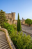 Palace of the Popes, UNESCO, Avignon, Provence-Alpes-Cote d'Azur, Rhone Valley, France